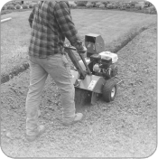 Sin cavar - 