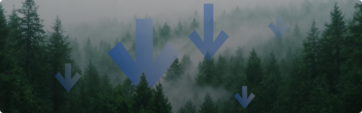 Respetuoso con el medioambiente - 