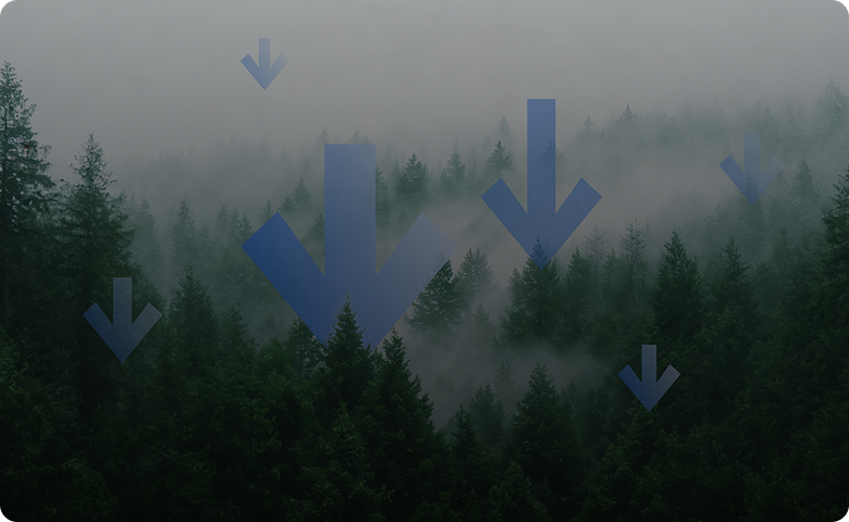 Respetuoso con el medioambiente - 