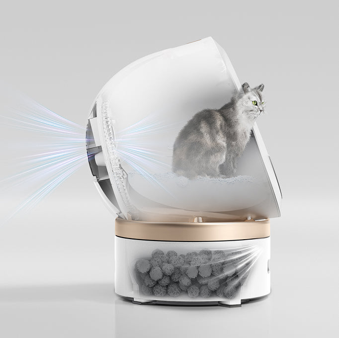 mova lr10 prime filtro de aire superior