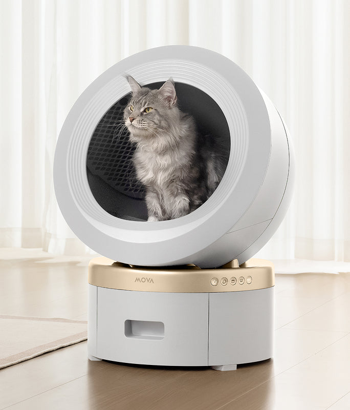 mova lr10 prime escena de comodidad