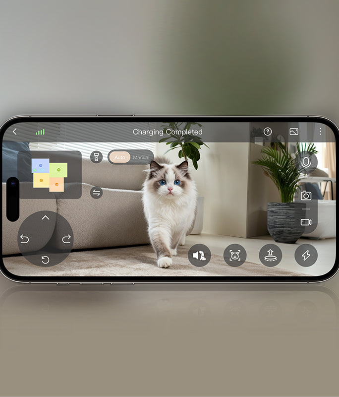 Cuidado de mascotas en profundidad - 