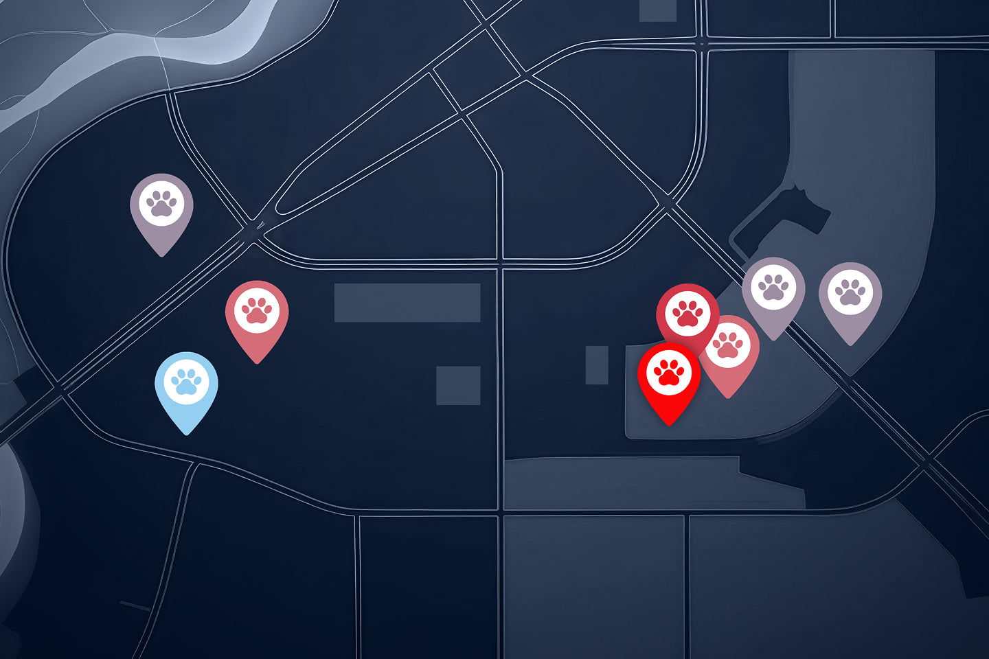 Mapa de actividad diaria - 