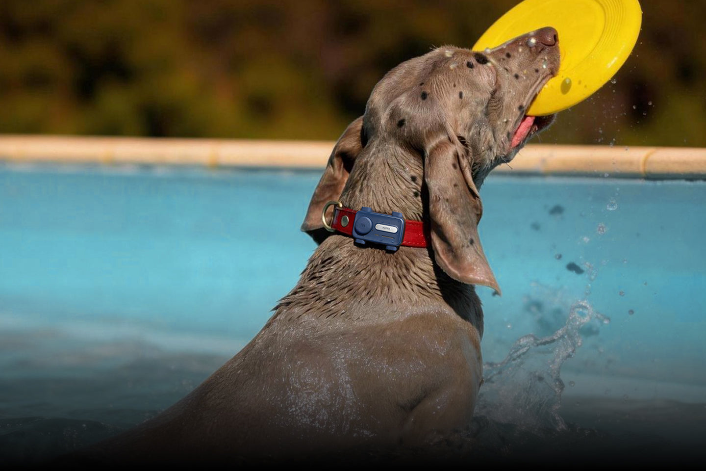 IP67: resistente al agua y al polvo* - 