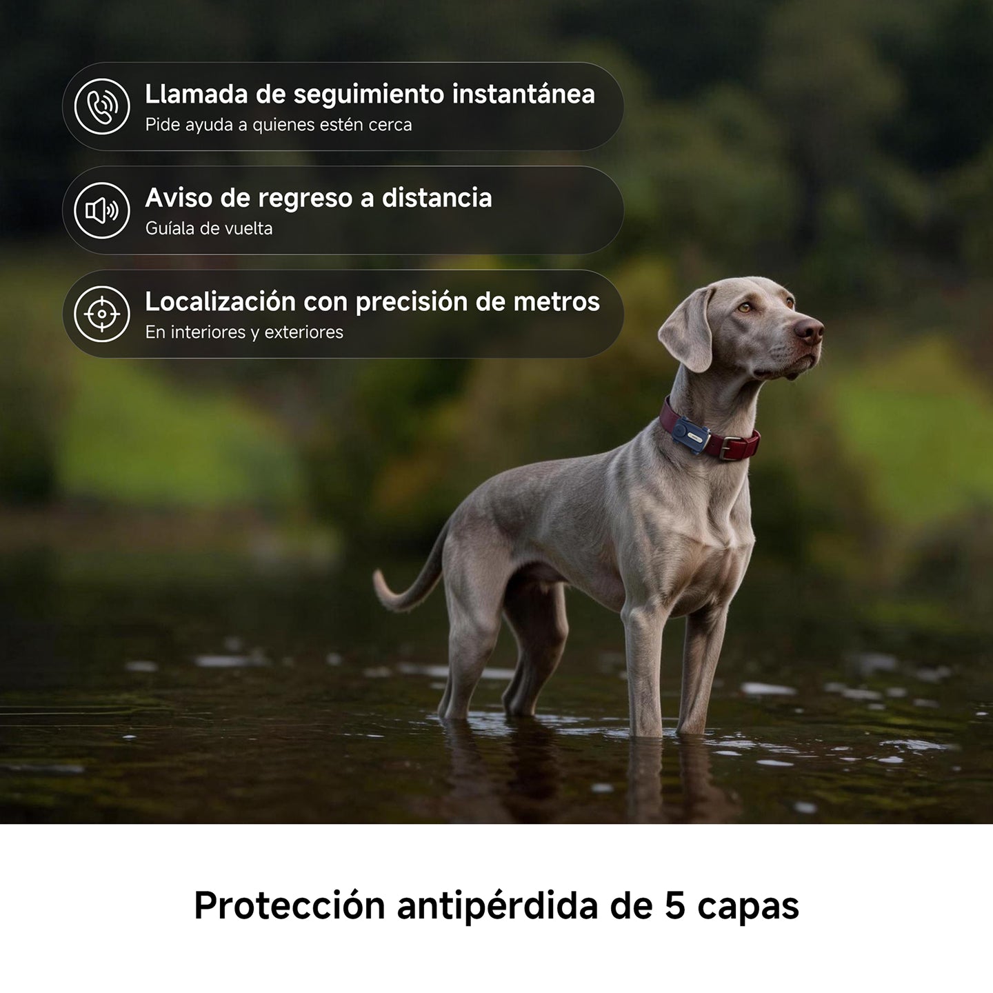 Localizador GPS para mascotas MOVA SureTrack Pro