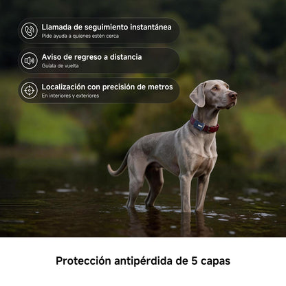 Localizador GPS para mascotas MOVA SureTrack Pro